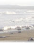 www.ergotherapie-insel-ruegen.de